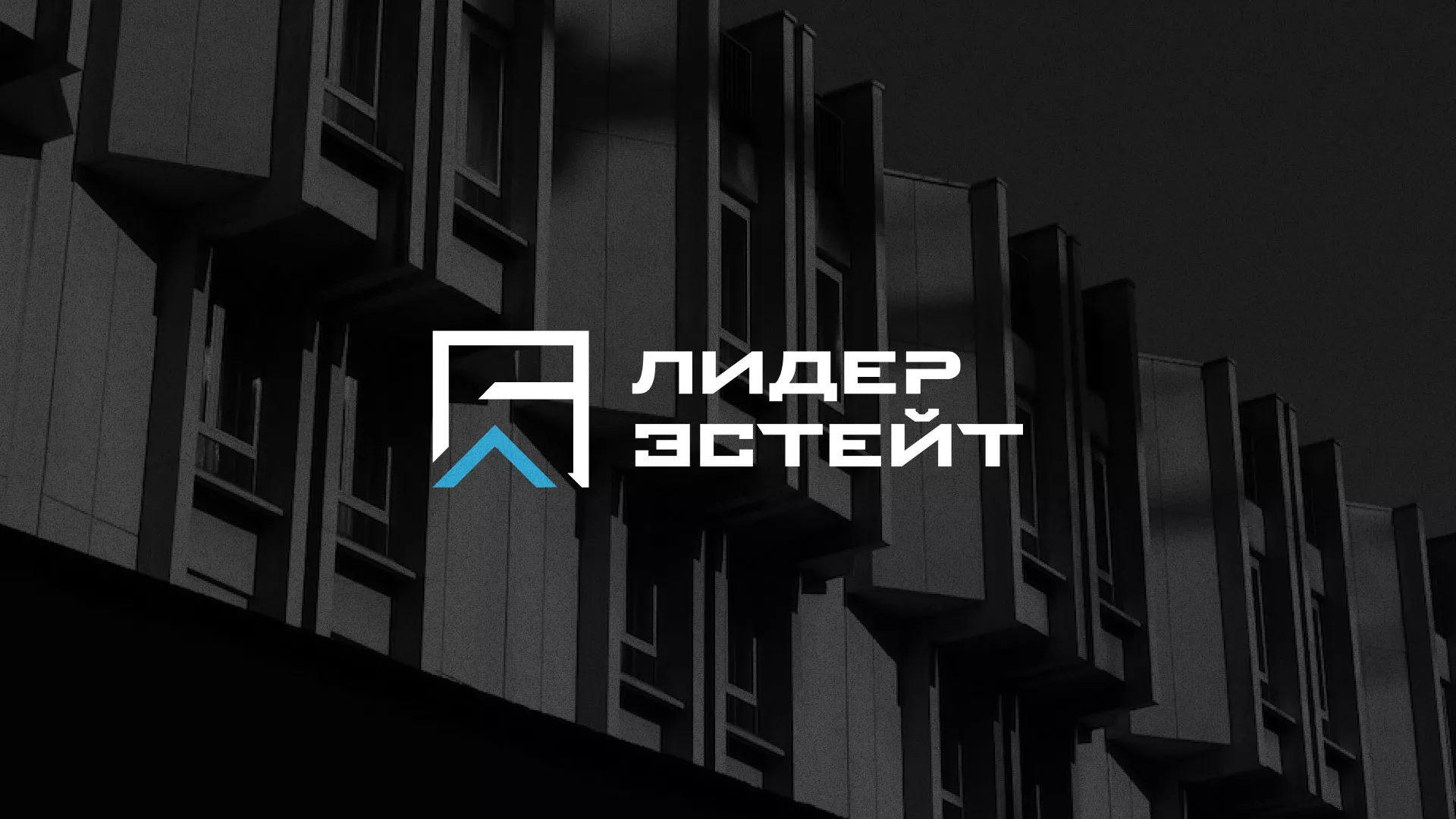 Разработка логотипа агентства недвижимости «Лидер Эстейт» в Тайге
